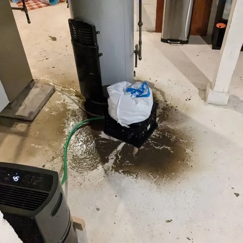 Sewage Backup Cleanup Service in Horn Lake, MS